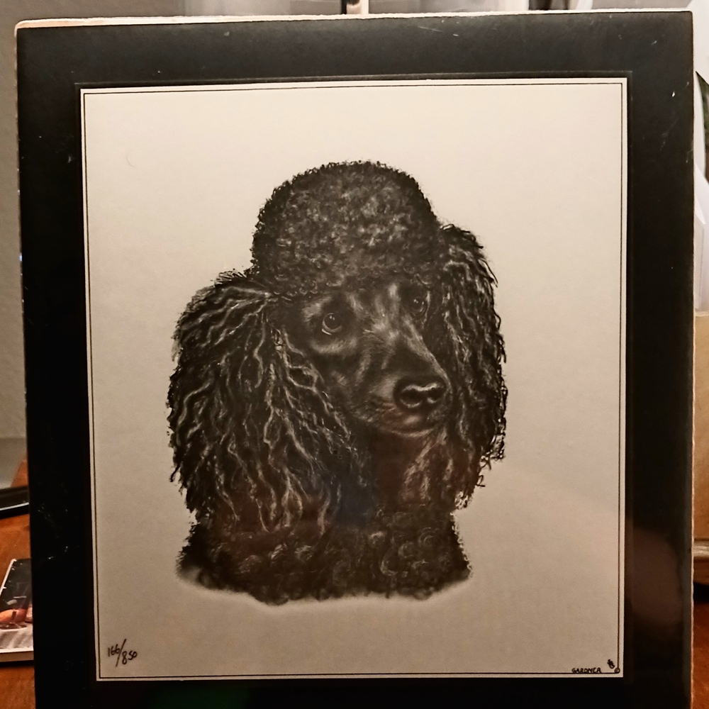 Steven M. Gardner Black Poodle Art Print Size 7.5"X8. 5"